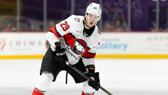 Vilmanim gols no nulles leņķa, Ansons pelna noraidījumus