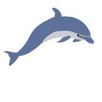 delfins171