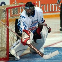 serjoga goblina,pelmen,pingvin