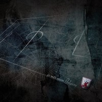 Vienas komandas fans