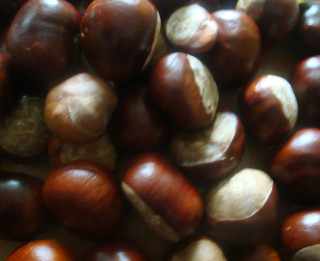 Jaunās gudrības
