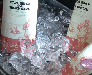 Video: Pārsteidzošo Portugāles CASCA WINES vīnu degustācija Rīgā