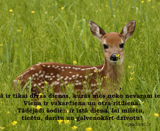 6. jūnija dienas horoskops sadarbībā ar astrologi.lv