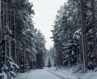 Ziemassvētku sarīkojums Liepājas muzejā - “Saulgrieži Dienvidkurzemes sētā”