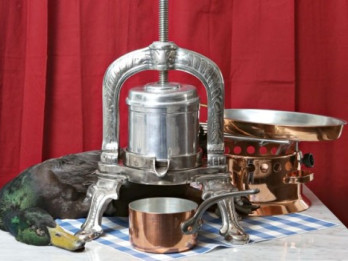 Canard de Rouen a la Presse Vincentā