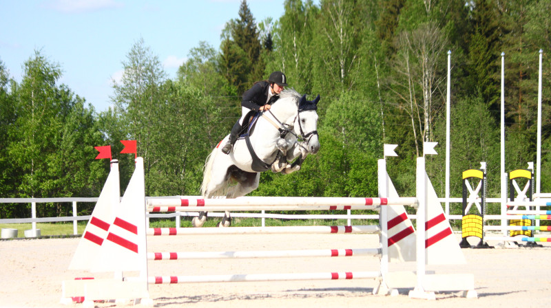 Galvenajā maršrutā uzvarēja latviešu jaunā sportiste Sintija Semeņkova 
Foto: latvianhorses.lv