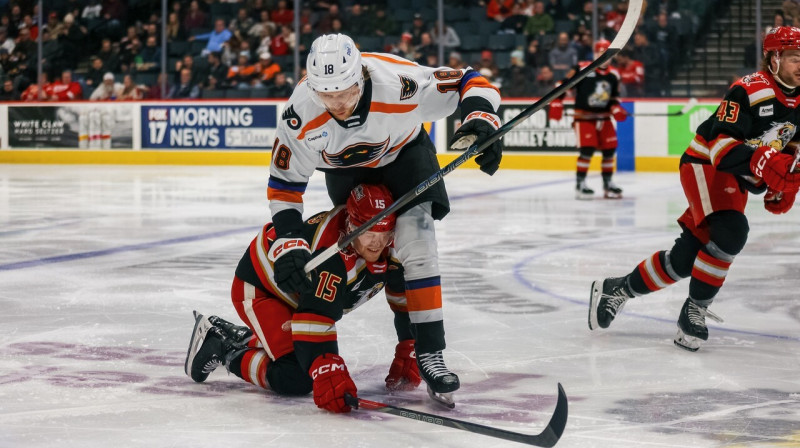 Rodrigo Ābols cīņā pret Grandrepidsas "Griffins". Foto: Grand Rapids Griffins