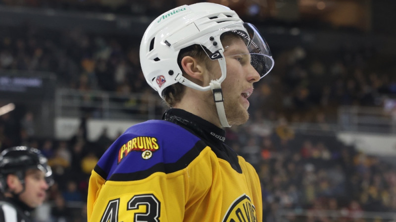 Dens Ločmelis. Foto: Providence Bruins
