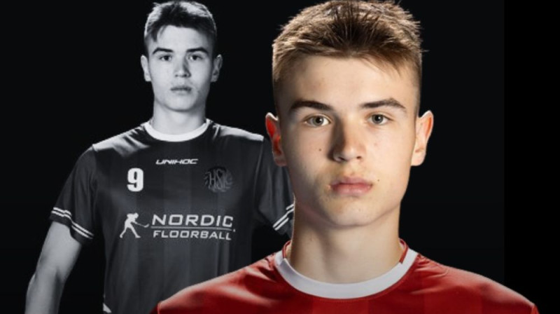 Gustavs Zariņš