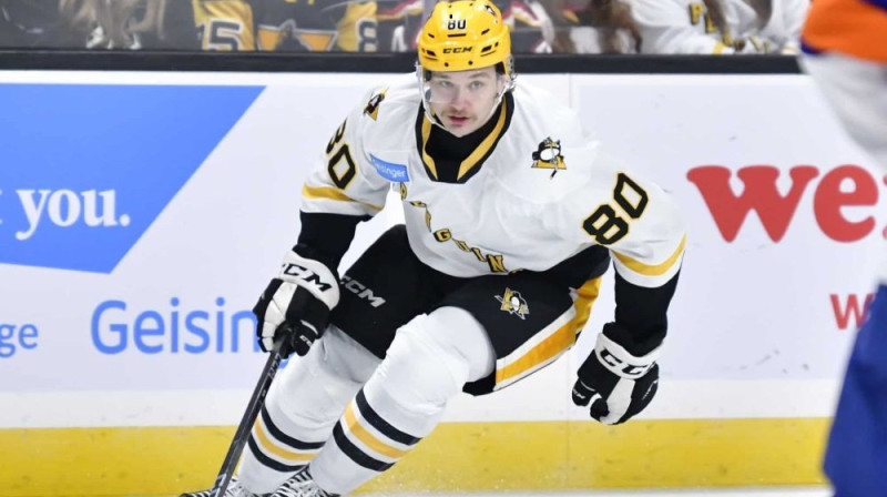 Raivis Ansons Foto: Vilksbāres/Skrantonas "Penguins"