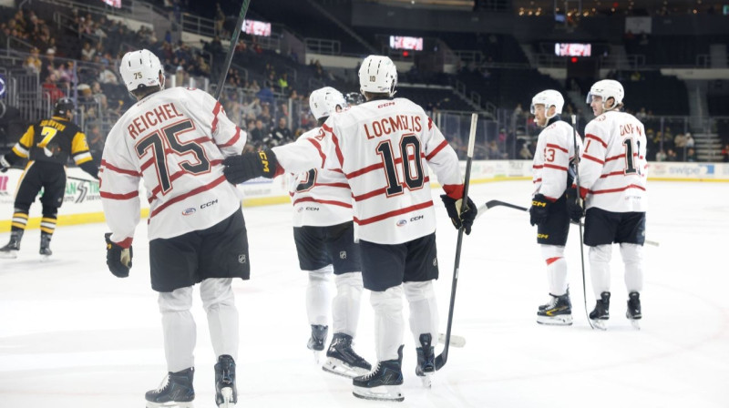 Dans Ločmelis. Foto: Providence Bruins