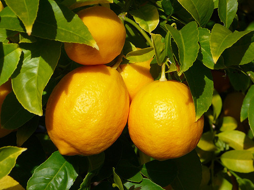 Citroni skaistumam un veselībai