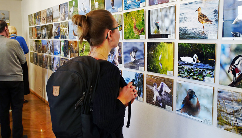 Dabas muzejs izsludina putnu fotogrāfiju konkursu